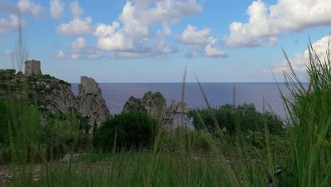 cámara lenta de briznas de hierba sacudidas por el viento y pilas o farallones de scopello en el fondo, sicilia