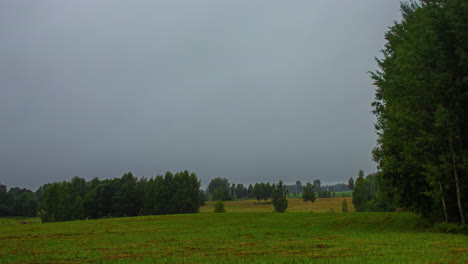 storm timelapse of clouds moving into a meadow and high wind blowing the branches of the trees