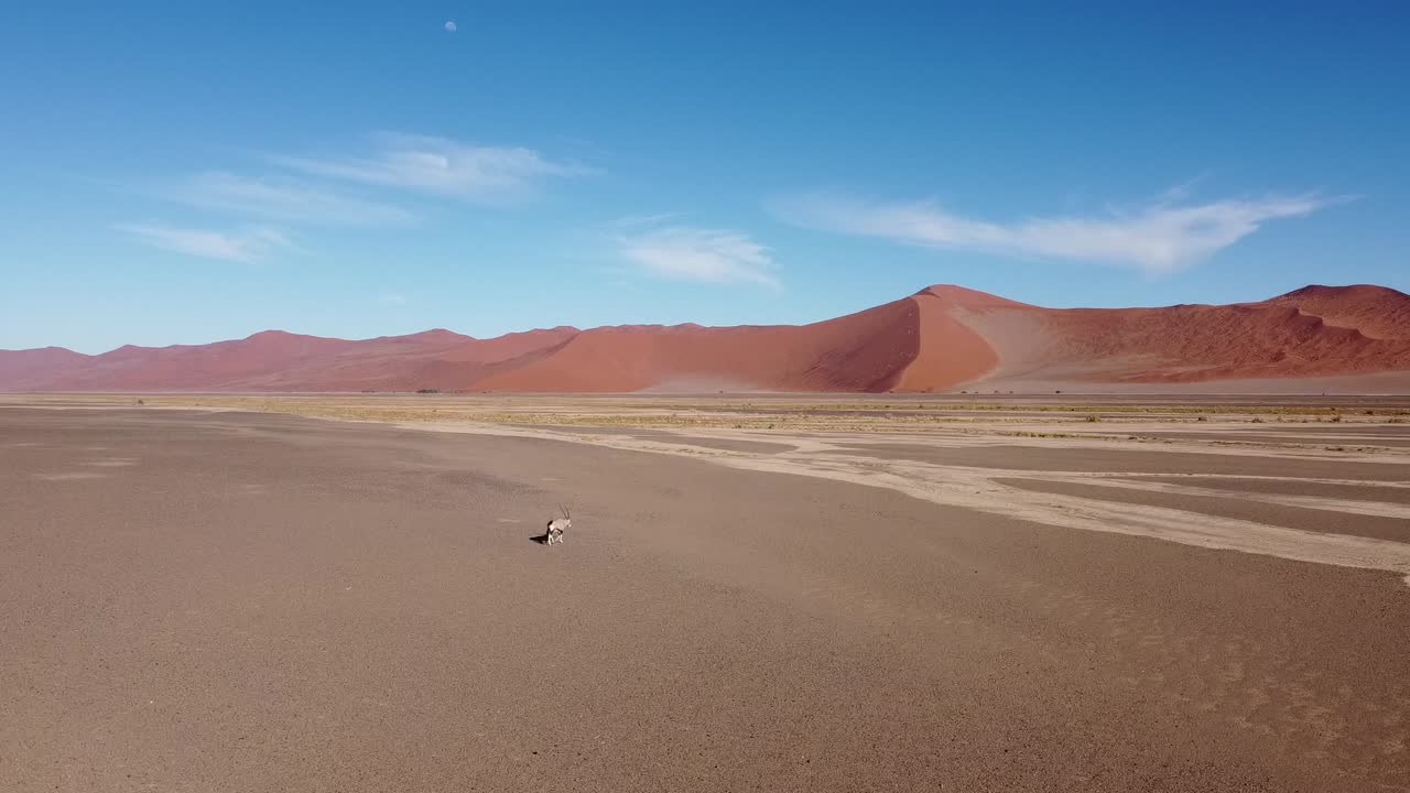 namib oryx desierto por avión no tripulado