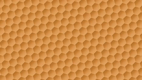 honeycomb pattern background