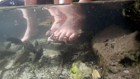 Freshwater-brackish-fish-nibble-on-feet-in-a-natural-pool-at-Arikok-National-Park-in-Aruba