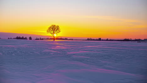 el viento sopla polvo de nieve a través de los campos congelados durante una puesta de sol dorada detrás de la silueta de un árbol solitario - lapso de tiempo de invierno de gran angular