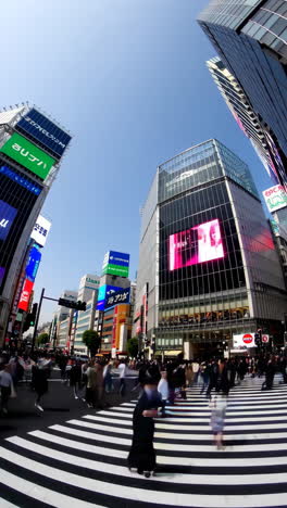 shibuya crossing, tokyo, japan