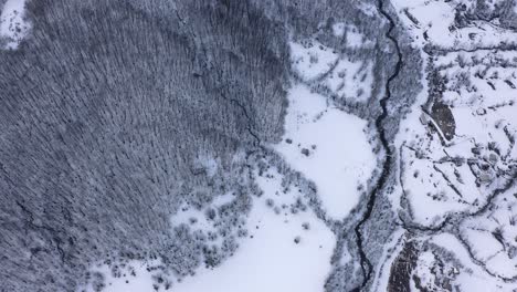 Antenne---Verschneiter-Winter-Auf-Einem-Wald,-Kolasin,-Montenegro,-Von-Oben-Nach-Unten-Vorwärtsschuss