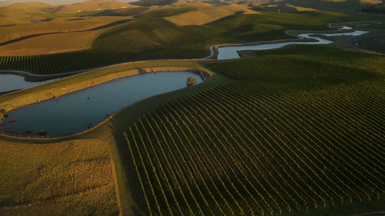 La più grande regione vinicola della Nuova Zelanda