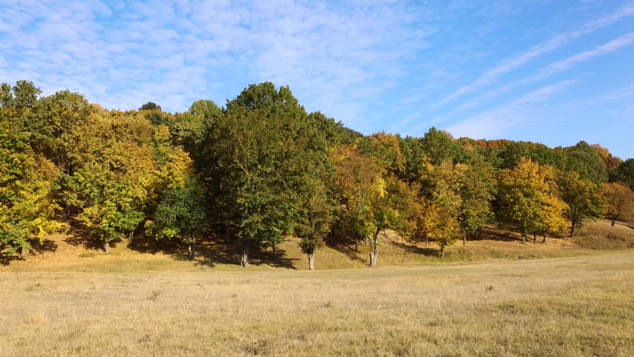 Timelapse di paesaggio autunnale con alberi gialli e verdi.