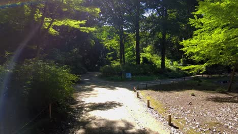 The-beautiful-park-in-Tokyo