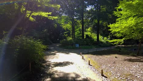 the beautiful park in tokyo
