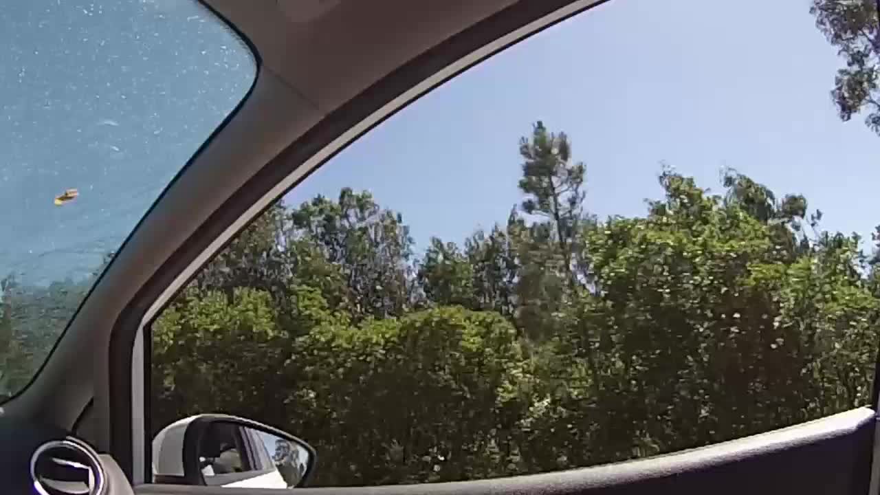 View from a car window