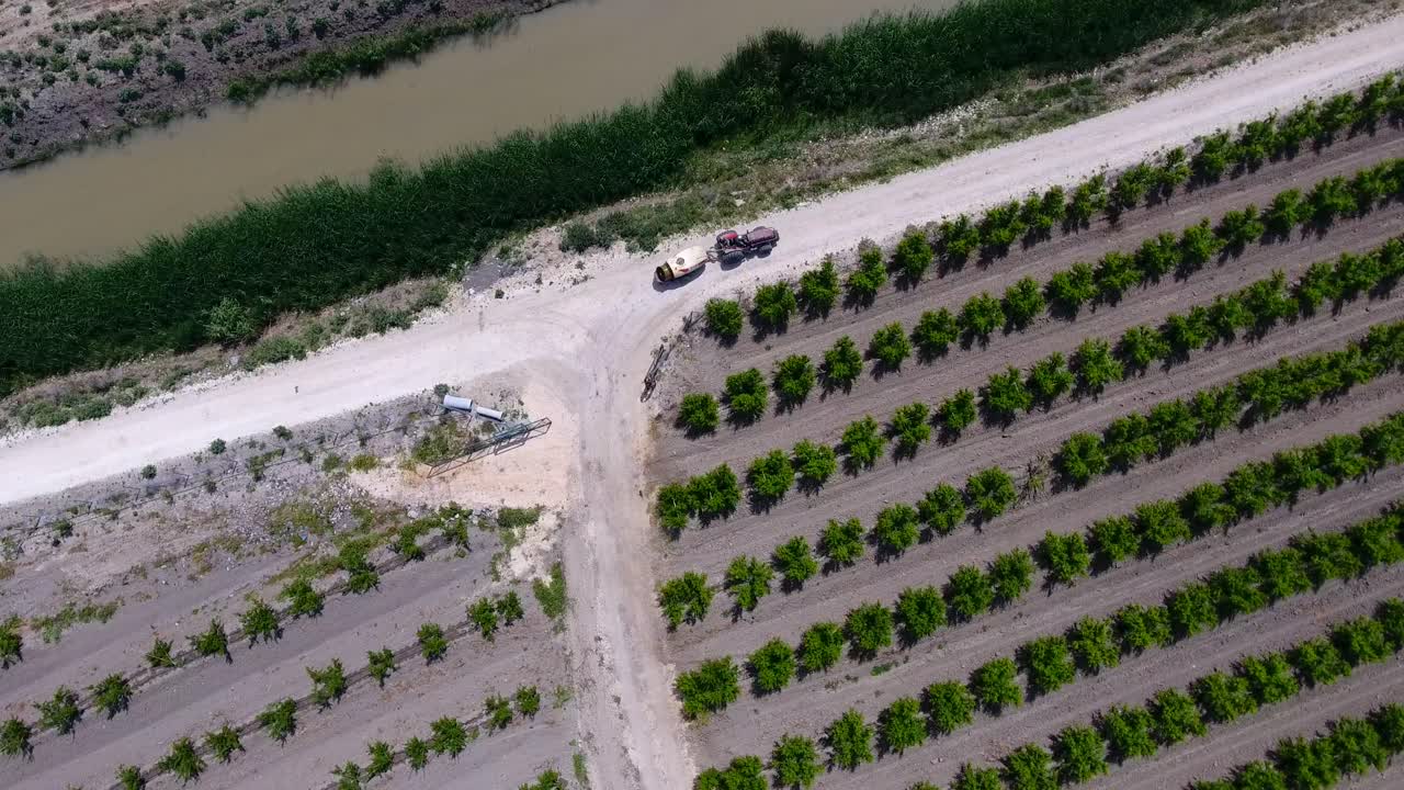 Tractor spraying trees in the orchard