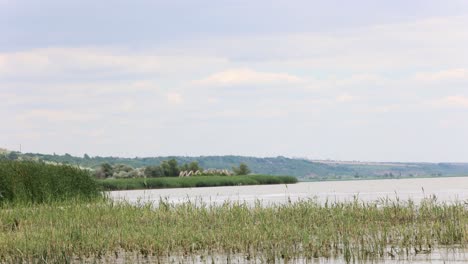 cloudy sky over tranquil lake in the countryside - wide