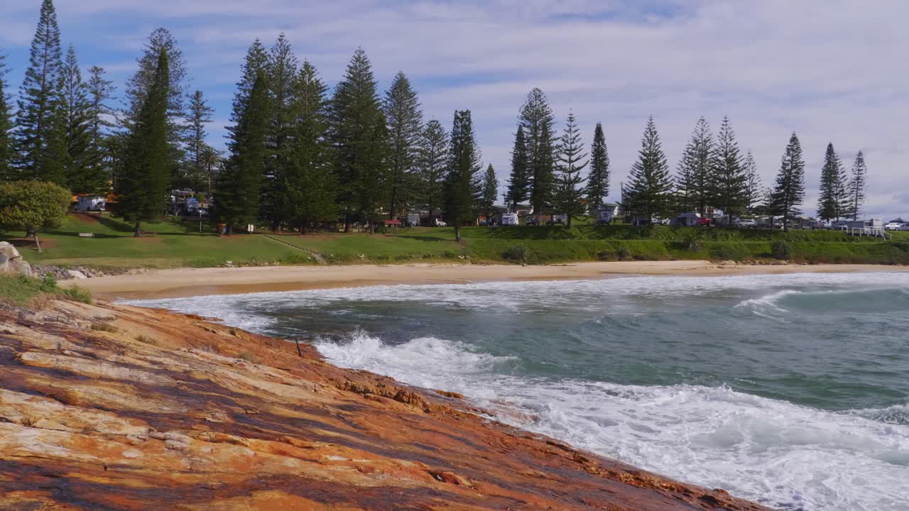olas en la roca del suroeste - pinos de norfolk en la playa australiana durante el verano - nueva gales del sur, australia