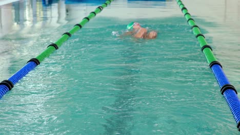 fit swimmer doing the back stroke in the swimming pool