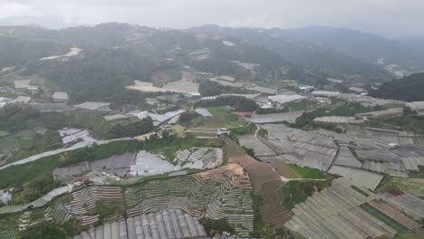 vista general del paisaje del distrito de brinchang dentro del área de cameron highlands de malasia
