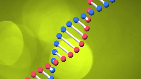 dna strand animation over green background with red and blue molecules