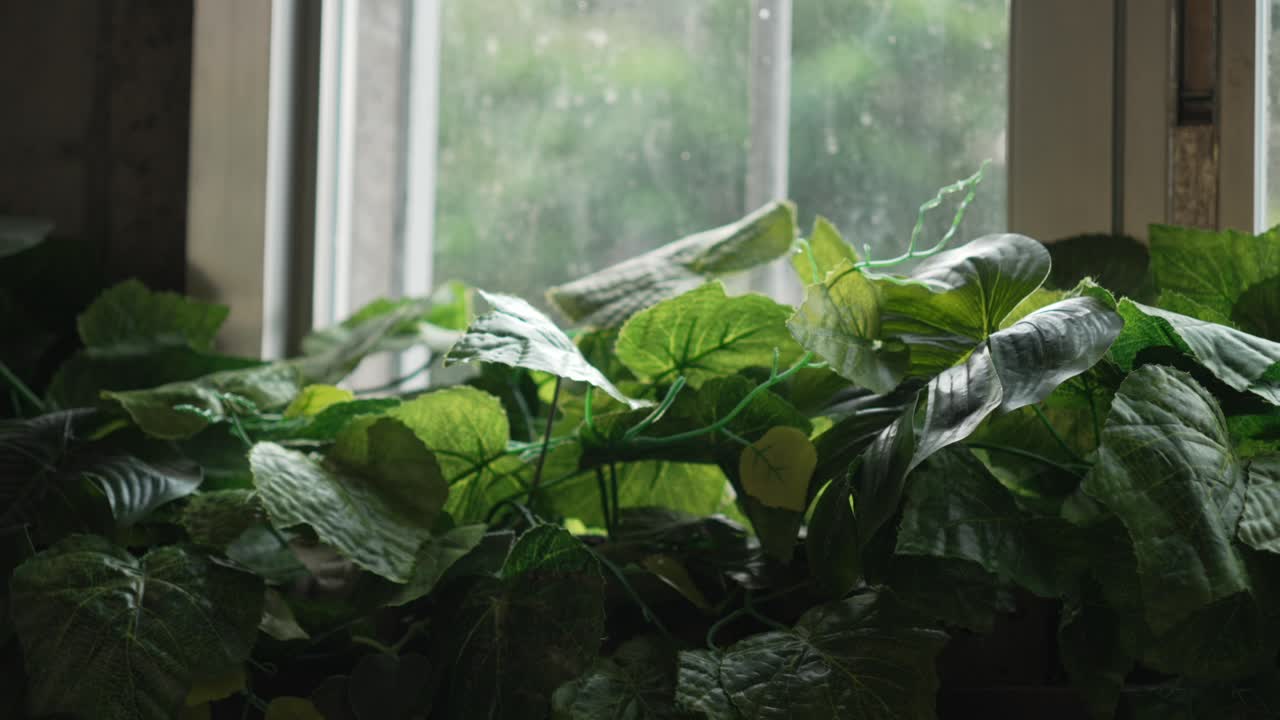 Artificial Plant on Windowsill