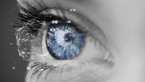 primer plano del ojo azul
