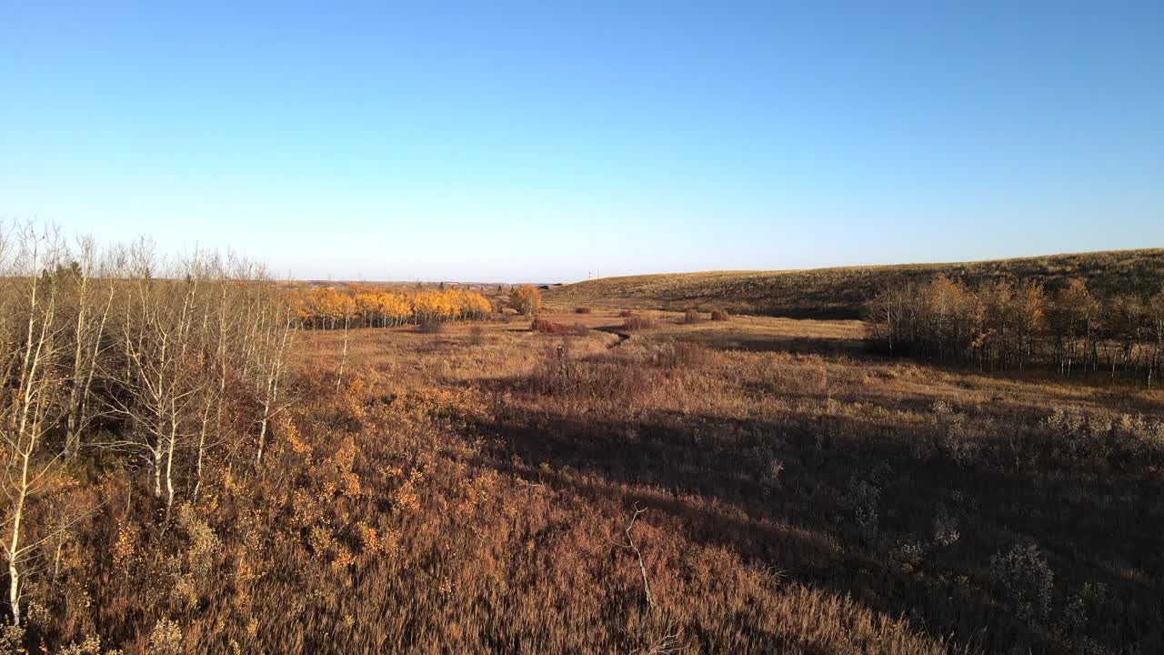 imágenes de drones 4k de un caminante caminando por un sendero natural en la temporada de otoño en alberta