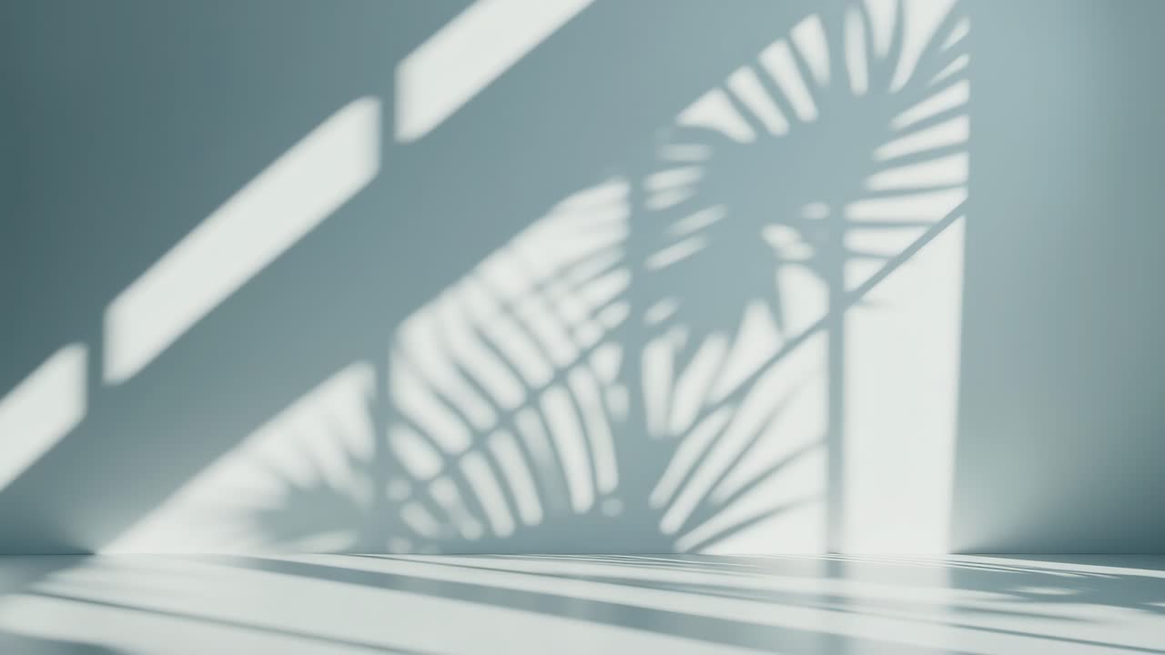 Minimalist video background with soft shadows of window frames and leaves