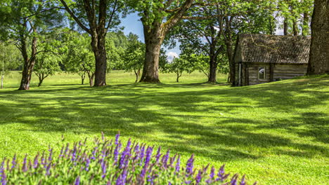 Mowing-the-law-on-a-riding-lawn-mower-or-tractor-at-a-rural-cabin---time-lapse