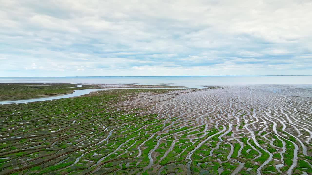 소금 습지 에서 균열 된 진 평면