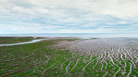 Rissige-Wattenmeer-In-Einer-Salzwiese