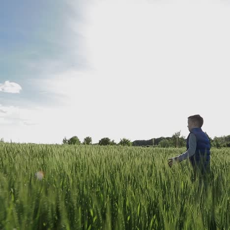 Boy Walking Through The Field