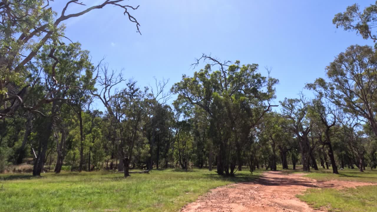 조용 한 숲 이 있는 공원 에서 시간 을 보내는 것