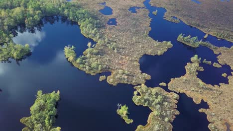 Beautiful-aerial-birdseye-view-of-bog-landscape-with