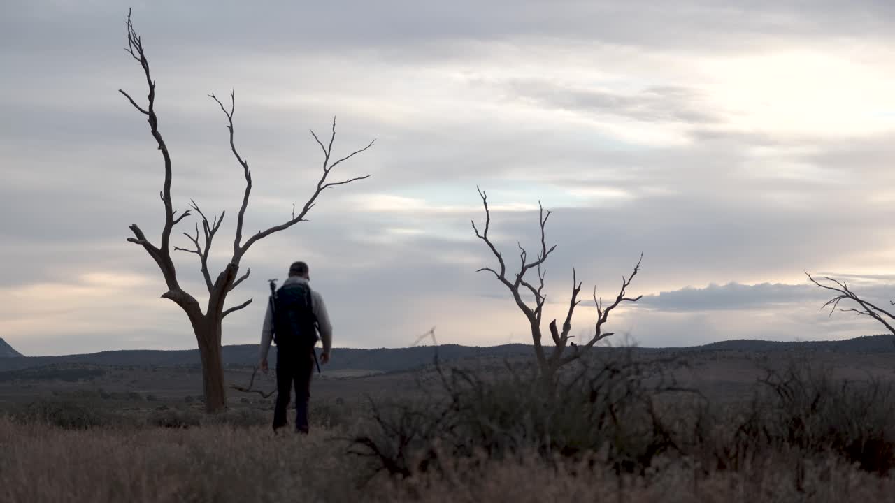 fotógrafo masculino, explore el paisaje desértico, árboles desnudos muertos, interior de australia