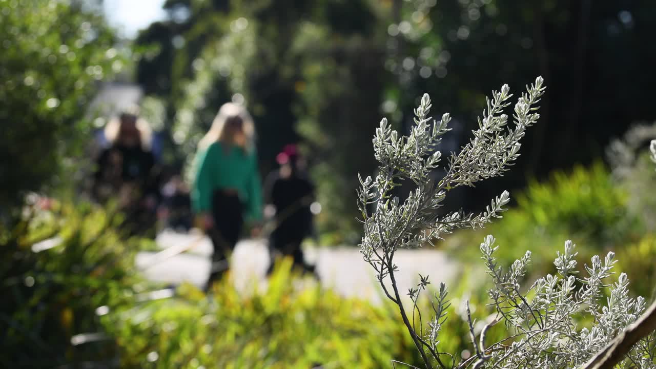personas plantando árboles en el zoológico de melbourne