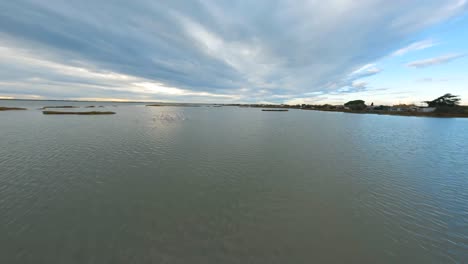 Rosa-Flamingos-Sorgen-In-Den-Feuchtgebieten-Der-Camargue-Für-Ein-Atemberaubendes-Schauspiel