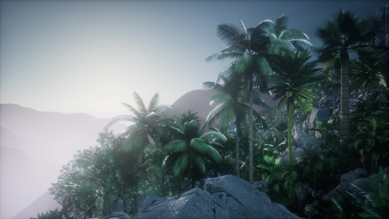 los rayos del atardecer a través de las palmeras