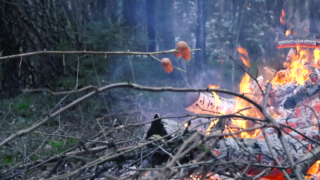 Small sausages or hot dogs being grilled on a stick on top of a large bonfire or a fire burning in a forest with smoke and golden orange embers glowing and blazing. Trees and moss visible in the back.
