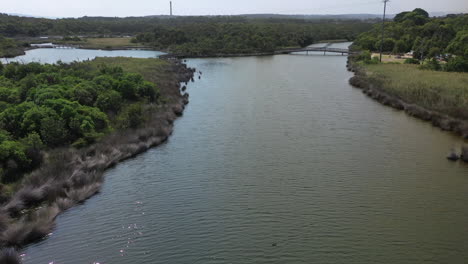 antena desciende a la costa natural de la reserva coogoorah en anglesea