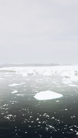 icebergs in the arctic ocean