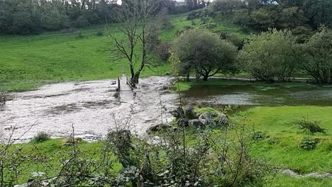 Slow-motion-saturated-flooded-countryside-stream-burst-its-banks-with-submerged-trees-after-storm-weather,-Static-shot