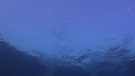 Air-bubbles-rising-to-the-surface-filmed-from-underwater