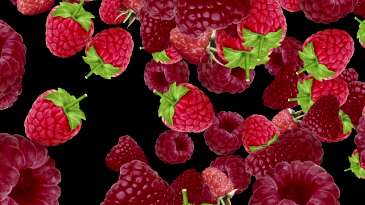 el fondo de las frambuesas que caen, bucle, 60 fps, con canal alfa