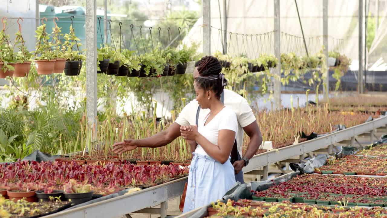 Exploring vibrant plants in greenhouse nursery, African American woman appreciating nature