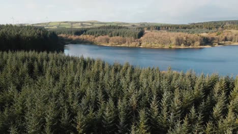 rotating aerial view of forest and lake scenery, low angle