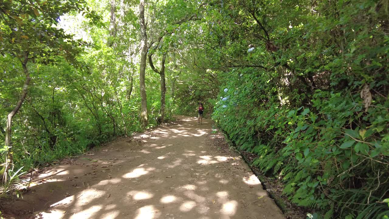 森 の 道 を 歩く 女性