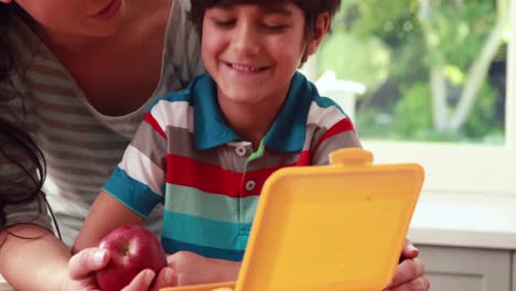 Mother-preparing-sons-lunch-box