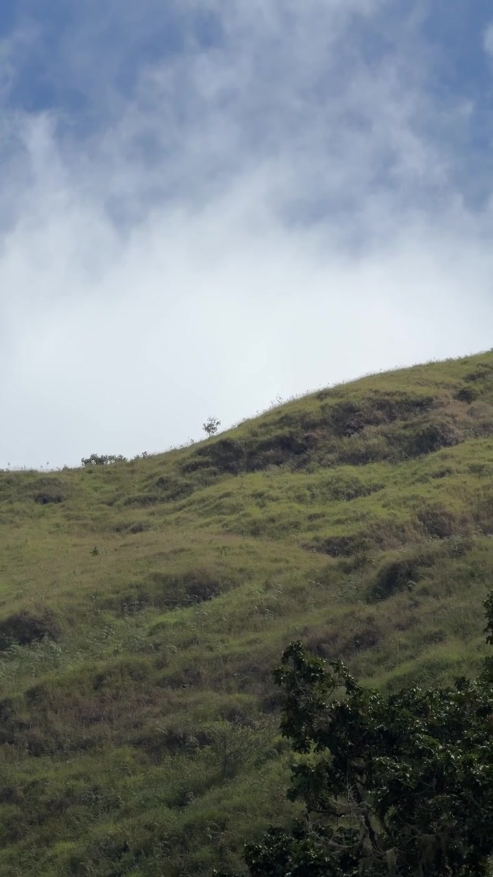 Lereng bukit berumput di bawah langit biru berawan.