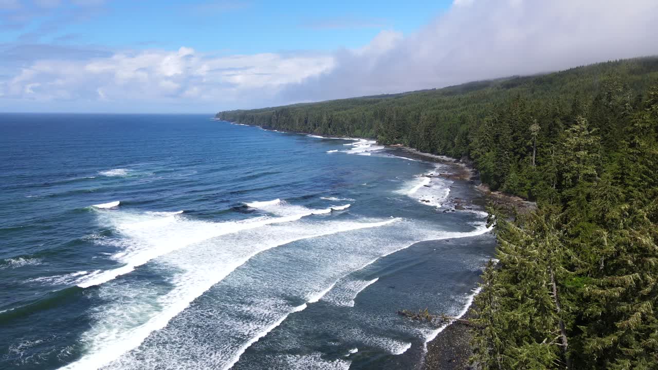 Still aerial shot of big waves crashing on the shore of Sombrio beach with vast and endless pine forest in foreground and cloudy sky above