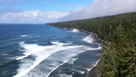 still aerial shot of big waves crashing on the shore of sombrio beach with vast and endless pine forest in foreground and cloudy sky above