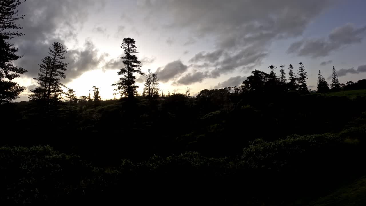 웅장한 일몰 하늘 노르폴크 섬 소나무 실루, 타임스