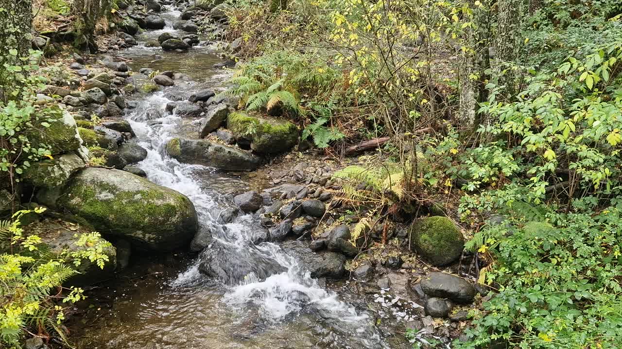 Crystal clear water flowing over mossy rocks in a small mountain stream in the Sierra de Gredos, Salamanca, Spain. Lush green forest environment