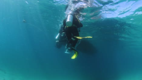 scuba divers swimming to a boat to climb a ladder