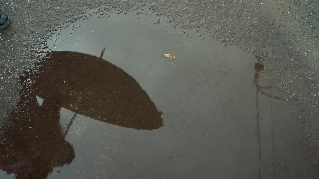 puddle reflection of person walking umbrella, urban street under overcast sky, silhouette suggests commuter passing curb while later frames imply parent with stroller, wet asphalt glistens